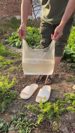 Essential Knots for Outdoor Skills