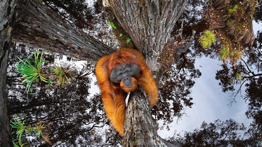 50 Stunning Animal Photos That Might Brighten Your Day