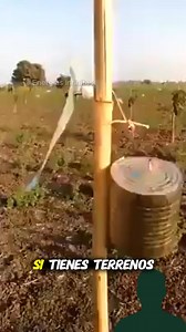 Este tips que a muchos en el campo les va a funcionar para espartar pajaros en tu sembradío #campo #ideas #diy🧑‍🔧 | Cesar Augusto Marin