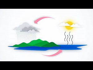 Circular economy: the perfect loop