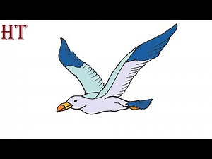 How To Draw A Seagull Flying easy Step by Step