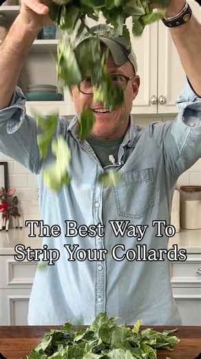 Southern Living on Instagram: "It’s officially the biggest week of the year for collard greens! Get your batch off to a simmering start with tips from @jbrothersmiller. 🍃"