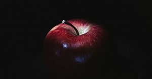 Top 8 Bewitching Books Like "Twilight" Everyone Should Read