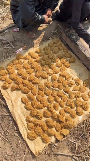 Traditional Gur Making Process🍯 | Pure Village Jaggery from Sugarcane #gur #sugarcane #jaggery #fyp