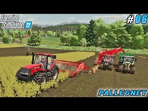 Optimizing Potato Harvesting and Upgrading with a New Seeder | Pallegney Farm | FS 22 | Timelapse#06
