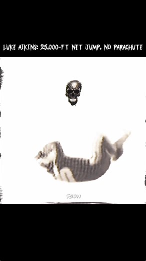 Luke Aikins: 25,000-ft net jump, no parachute #LukeAikins #Skydiving #NoParachute #25000FeetJump