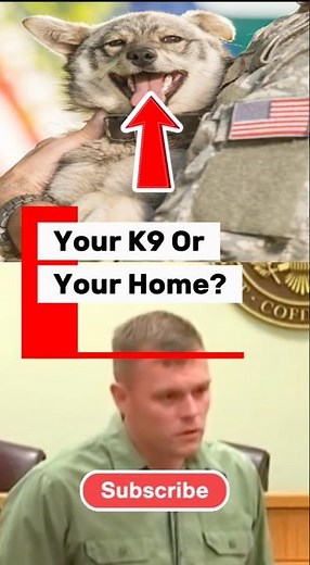 🐕‍🦺⚖️ They Tried to Evict a Veteran for His Service Dog