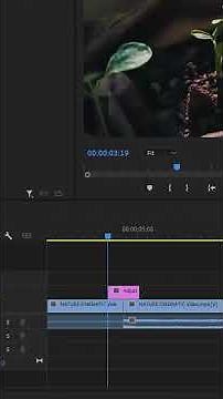 How to easily create smooth zoom transition in Premiere Pro