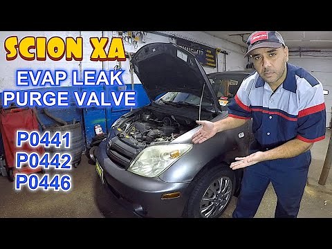 Scion XA evap leak check engine code p0441 p0442 p0446 purge valve