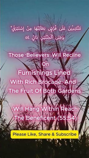 Beautiful Recitation of Surah Ar Rahman chapter#55 ayah#54-56 #misharyrashidalfasy #suraharrahman