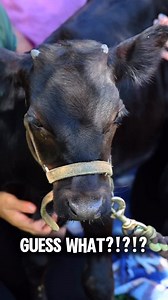 9.6K views · 245 reactions |  BIG REVEAL: The Arrowhead Farmers...