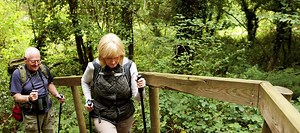 Retirees - Sterling Wealth Management - Springfield, OH