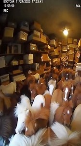 31K views · 509 reactions | This moment breakdown provides a detailed...