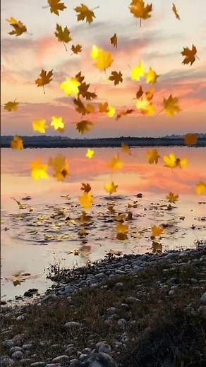 Beautiful Sunset Over the Calm Lake 🌅 | Peaceful Evening Sky | Relaxing Nature Scenery
