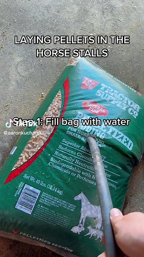 Proper Pellet Bedding Techniques with Corgi Assistance!