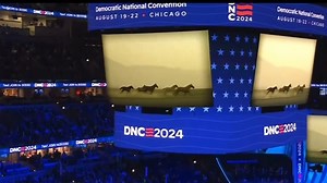 Beyoncé's 'freedom' anthem thrills: DNC ad supercharges democratic convention and social media