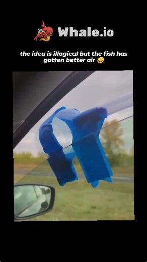Zahan on Instagram: "The post shares a 13-second video of a driver using a blue tube taped from a fish bowl to the car window, creating wind-induced bubbles to oxygenate water during transport, captioned with ironic humor about its "illogical" yet effective nature. - This DIY technique mimics manual aeration systems, vital for fish survival as dissolved oxygen can drop below lethal levels (under 2 mg/L) in confined water within 30 minutes, according to peer-reviewed aquaculture studies like thos