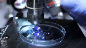 Scientist hands with microscope close-up shot in the laboratory. Medical laboratory research tools in the hands in gloves. Close up. Forensic examination. 4K UHD..