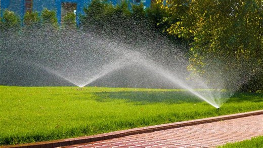 Denver Water implements mandatory watering restrictions