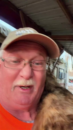 John Sutton Jr (@johnsuttonjrll)’s videos with original sound - John Sutton Jr