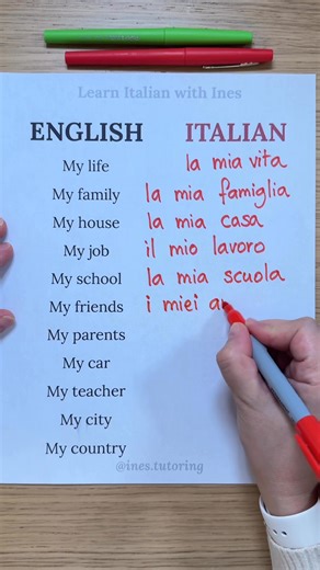 556K views · 20K reactions | Learn Italian with Ines on Reels | Facebook