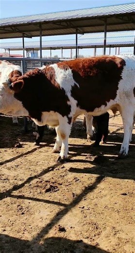 #创作灵感 #万用表使用技巧 #电源设计基础