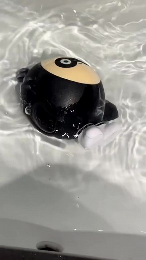 Eggy on TikTok
