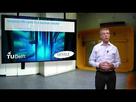 Neutron life cycle in a nuclear reactor