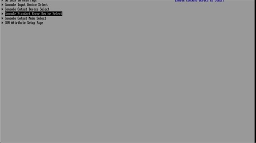 不会调Virtual Box虚拟机BIOS的我