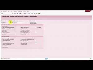 How to create a new Storage Type - SAP WM Customization
