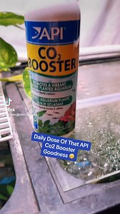 617 reactions · 23 shares | Dose CO2 BOOSTER™ to allow your aquatic plants to thrive! : @m.thefishkeeper | API Fishcare | Facebook