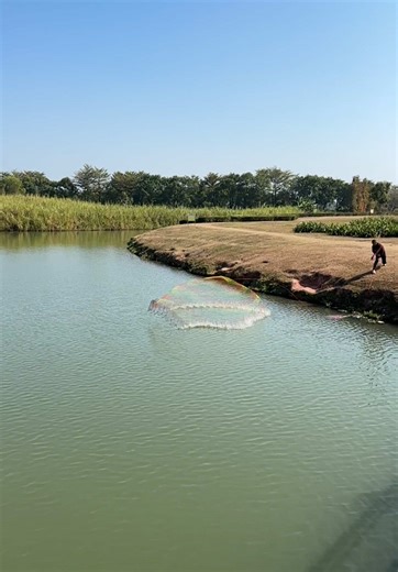 Engaging Interactive Games for All Ages