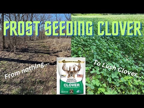 Frost Seeding Prep Work | Blower Method | Spring Clover Planting