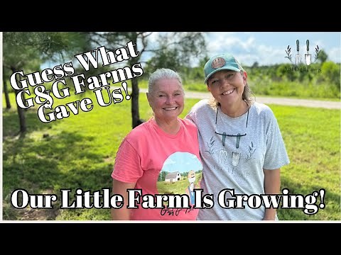 New Additions To The Farm