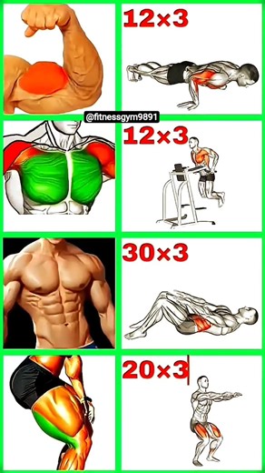 full body workout exercise #motivation #shorts #abs #fitness #sixpackabs