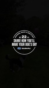 32K reactions · 6.6K shares | Subaru made Oct 22nd a National Day just for dogs. Treat your best furry friend to something special and share. #MakeADogsDay | Subaru of America, Inc. | Facebook