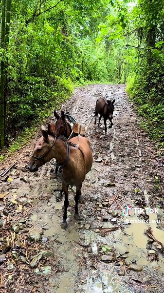 Explore the Natural Beauty of Ecuador's Coast