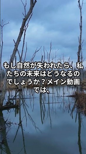 Why is nature important to humans?