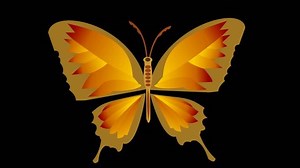 Animated yellow butterfly with alpha matte