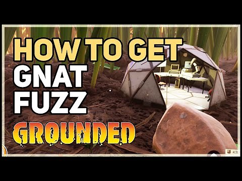 How to get Gnat Fuzz Grounded