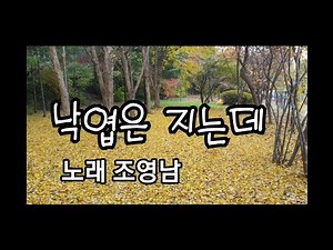 낙엽은 지는데 / 조영남 /PMW46