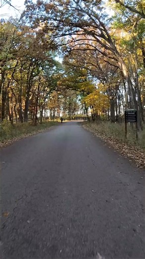 101 years of Ledges State Park 💚 Ride along for our visit in a minute (or few) and then plan your trip! Ledges State Park near Boone was dedicated on Nov. 9, 1924. Video: touring Ledges State Park during fall colors from the point of view of someone driving through the park in a vehicle | Iowa Department of Natural Resources