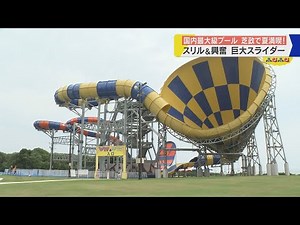 This summer, enjoy pools and dinosaurs at Shibamasa World in Fukui!