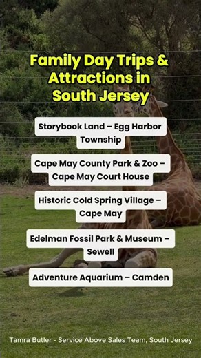 Things To Do in South Jersey Before School Starts