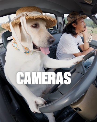 #BlackFriday sale 🚨 Paws your scroll, get or gift a GoPro from just $179 at GoPro.com 👇 🎁 #GoProHERO for $179 🎁 #GoProHERO13 Black for $339 free 1-year GoPro Subscription 🎁 15% off bundles other select cameras 🎁 Free US shipping when you shop at GoPro.com 🎥 $500 #GoProAwards recipient Wipharat Thongbor | GoPro