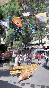 走進妖怪的秘密森林──南投妖怪村奇幻冒險記！