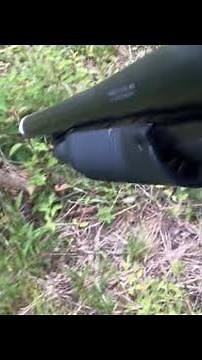 Bradford Pear, an easy extermination from this invasive species