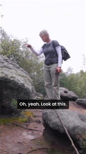 Prehistoric Serpent Head | DISCOVERED