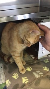 18 reactions · 22 shares | Hi! My name is OJ!! A#2029421 I am a...