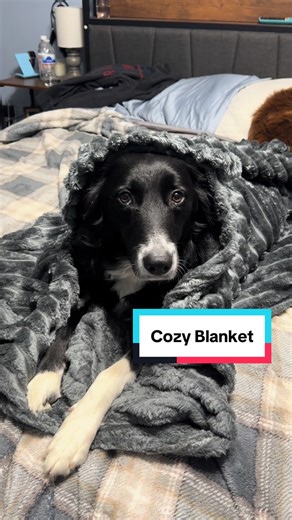 This is a cloud-soft imitation fur flannel blanket that wraps you in warmth. The reversible striped design adds modern flair to any space, while double-layer construction ensures lasting durability. Resistant to pet hair and scratches, making it suitable for homes with pets. It protects against spills and daily wear, maintaining its appearance. It’s the perfect blanket for movie nights on the couch or lazy mornings in bed. Even my dogs can’t get enough of this blanket. Wrap yourself in year-roun